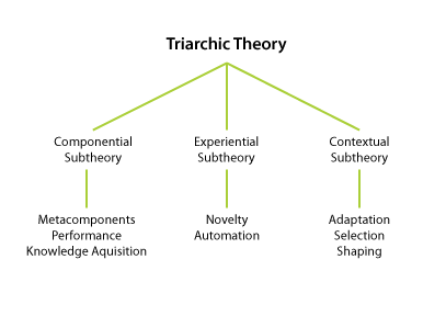 Componential analysis. A Theory of adaptation. Стернберг интеллект. Componential Intelligence. Componential structure of Negotiations.